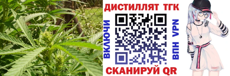 дарнет шоп  Майский  ТГК жижа 