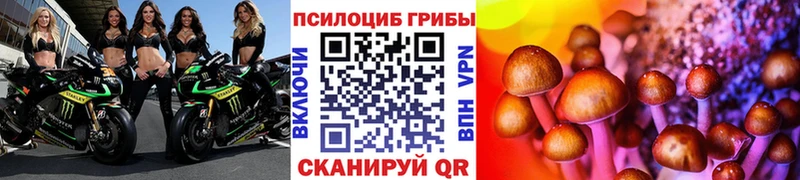 мега как войти Майский Галлюциногенные грибы Magic Shrooms